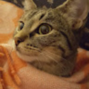 Meet your Posher, Colleen